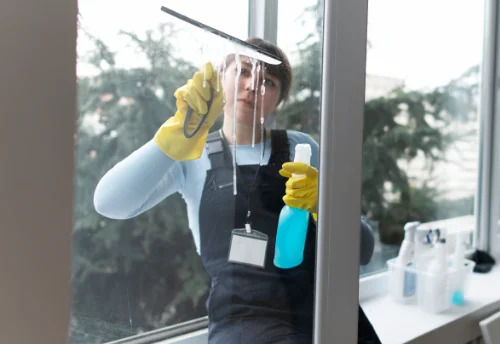 Nettoyage de vitres intérieures et extérieures à Saint-Romain-Lachalm